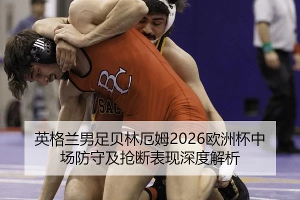 ying-ge-lan-nan-zu-bei-lin-e-mu-ou-zhou-bei-zhong-chang-fang-shou-ji-qiang-duan-biao-xian-shen-du-jie-xi-2-933.jpg