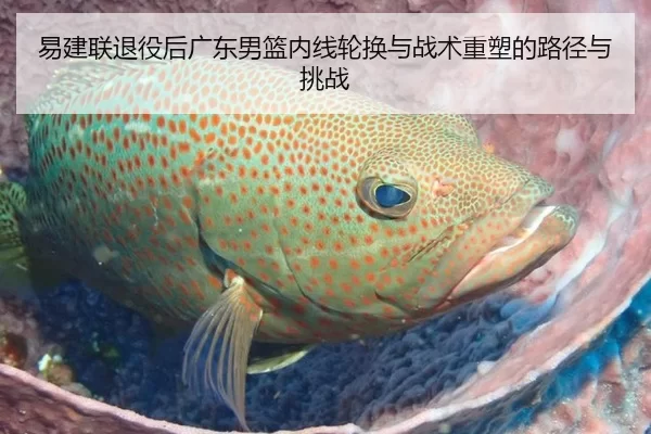 易建联退役后广东男篮内线轮换与战术重塑的路径与挑战