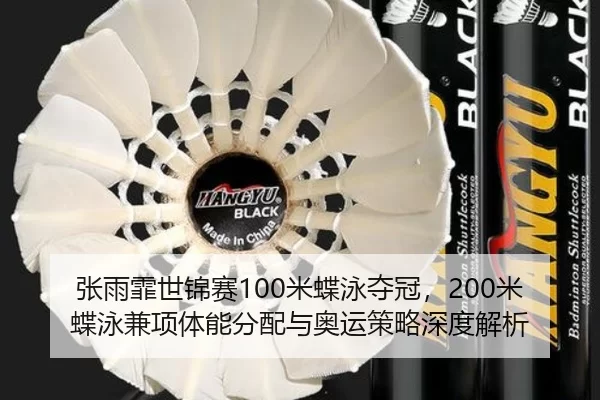 zhang-yu-fei-shi-jin-sai-mi-die-yong-duo-guan-mi-die-yong-jian-xiang-ti-neng-fen-pei-yu-ao-yun-ce-lve-shen-du-jie-xi-3-574.jpg